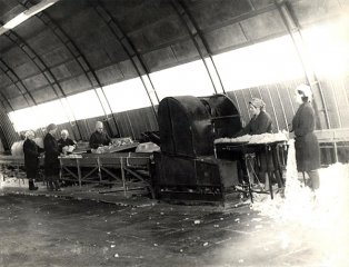 Pakulu cehs